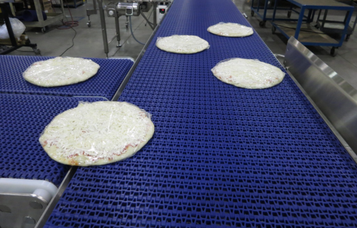 Food Processing Conveyors