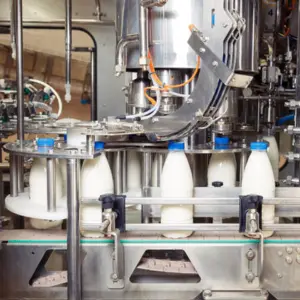 Integration with Other Dairy Processing Equipment