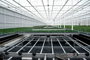 Greenhouse Expansion