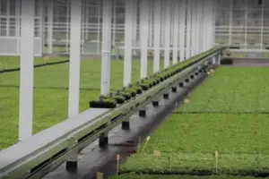 Pot and Container Handling